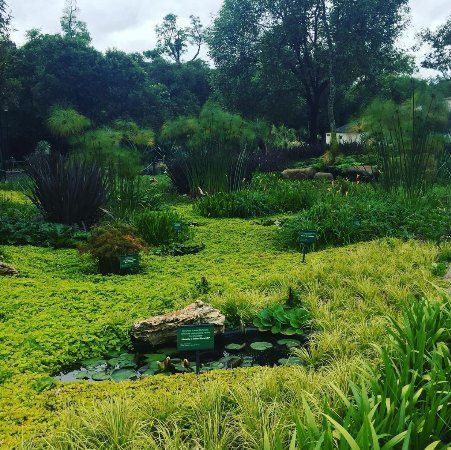 Jardin Botanico del Bosque de Chapultepec